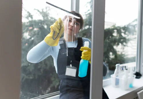 Nettoyage de vitres intérieures et extérieures à Salmiech
